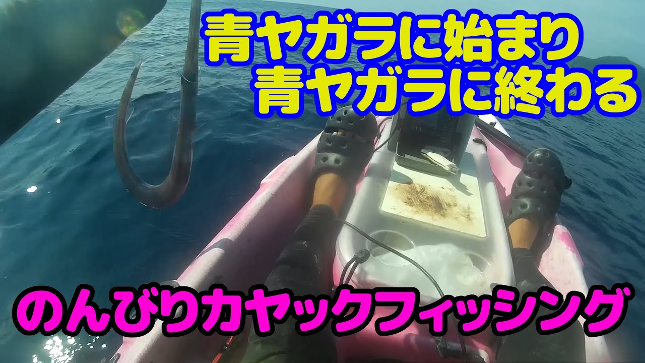 のんびりカヤックフィッシング　アオヤガラに始まり、青ヤガラに終わる