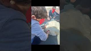 Science Activities- Etwinning Project "Culture Quest:Building Bridges with STEAM"