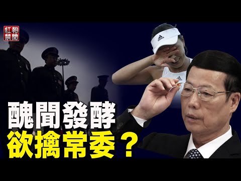 张高丽悬了？美媒罕见刊登匿名报导  揭开“彭张”事件不寻常处；知名作家分析彭帅控诉：作者不止一人【希望之声TV-红朝禁闻-2021/11/04】