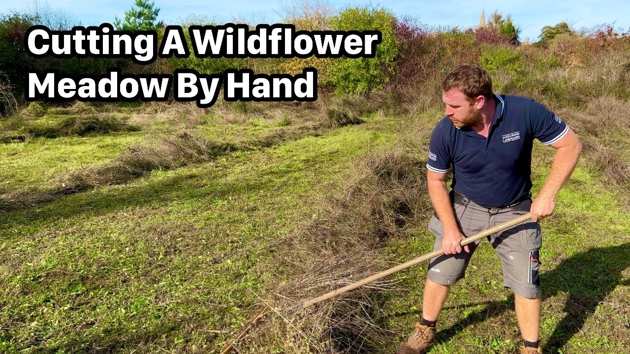 The Best Way to Manage a Wildflower Meadow