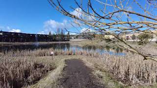 Walking Montana (4K) - Whitefish, Flathead County