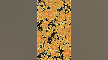Cellular automata taking over the screen #simulation #cellular #automata #mathematics #CGOL