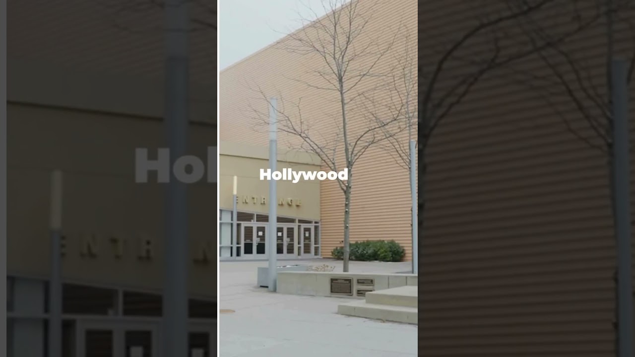 The Rise of a Legend: Arnold's Journey of Hard Work 