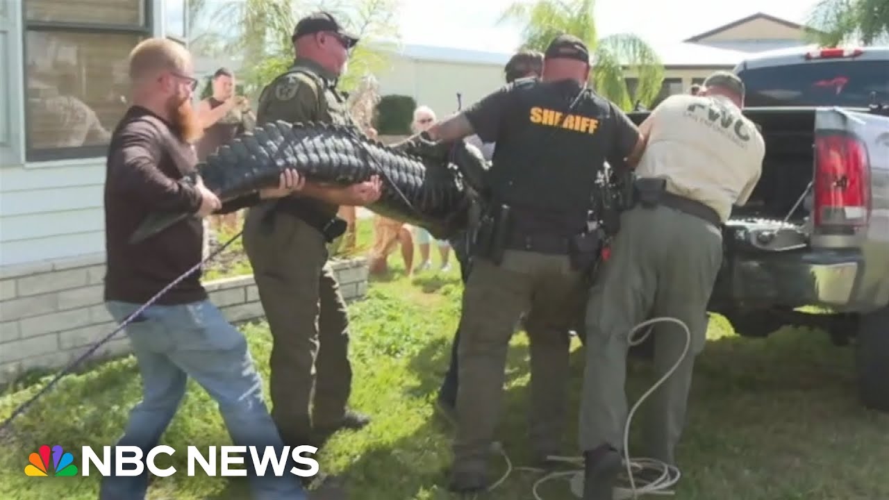 Florida family’s lawsuit claims fatal alligator attack was preventable