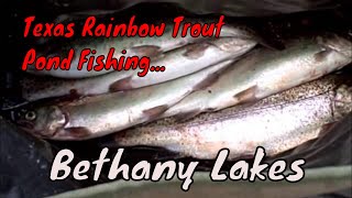 More Texas Rainbow Trout Fishing.... Bethany Lakes... Trout Stocked Today!