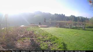 2026-05-17 Deck-Dock Cam