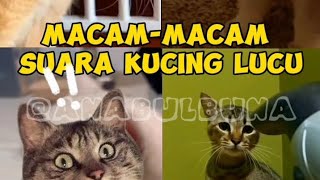 MACAM-MACAM SUARA KUCING LUCU!!!  #cat #anabul #funny #kucinglucu #pawrents #kucing #funnyvideo