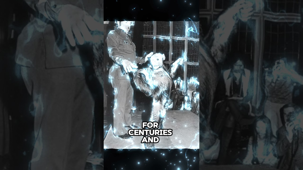 Могут ли на самом деле существовать хуманзе?