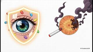 Your Eyes  A User s Guide