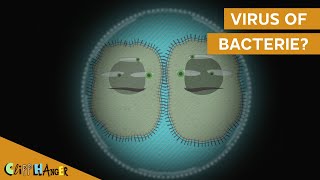 Wat is het verschil tussen een bacterie en virus? screenshot 2