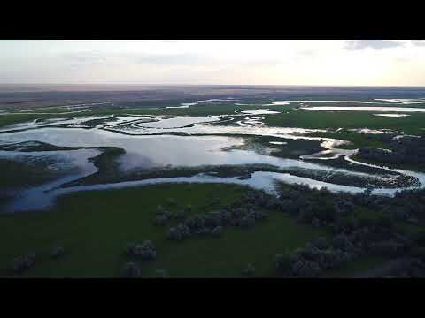 Астраханская область, Соленое Займище