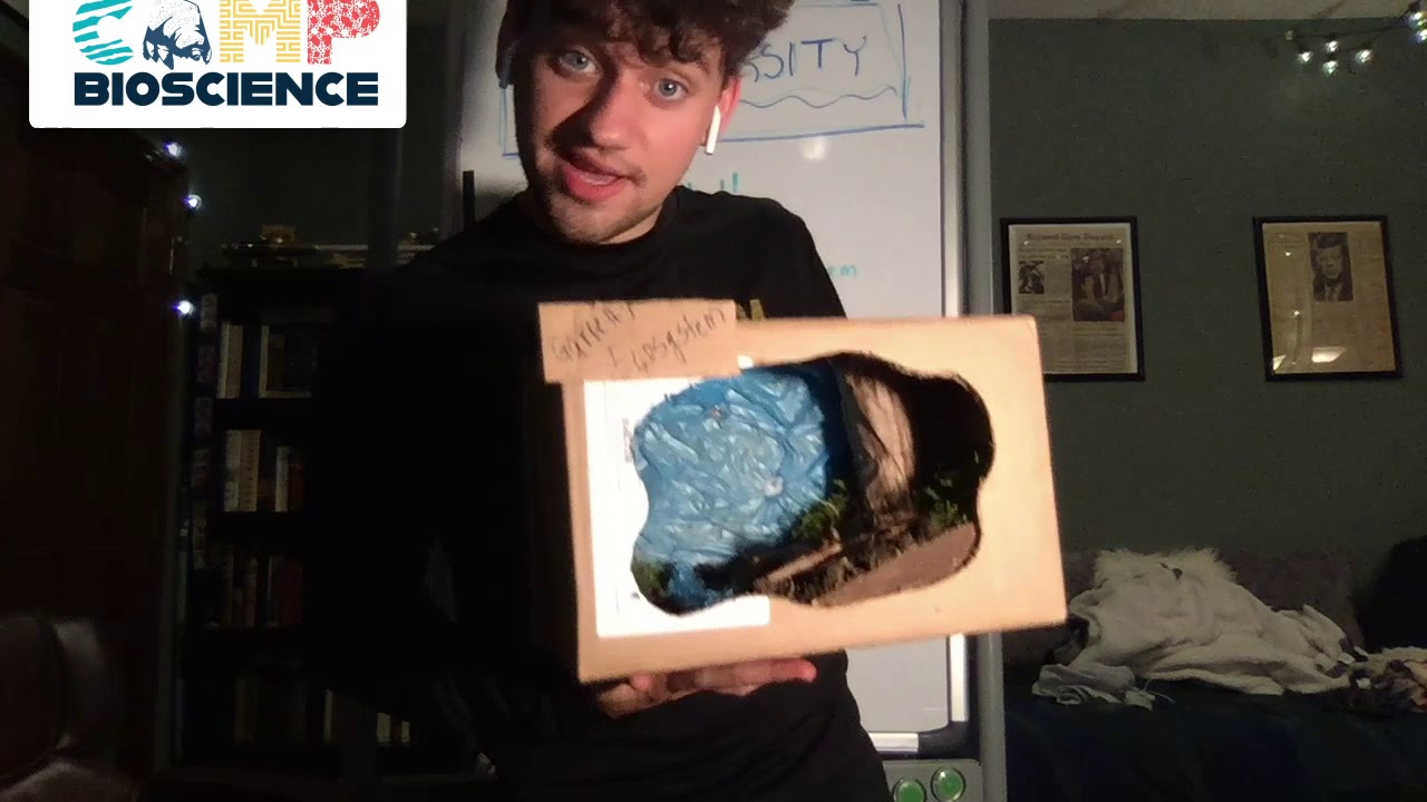 Create Your Own Ecosystem with Camp Bioscience