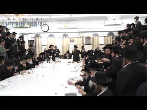 מארש ויאתיו לרבינו ה"אמרי אש" ממודז'יץ זצוק"ל - תש"ל