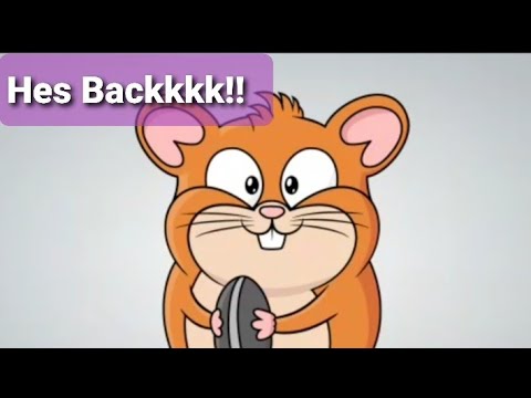 gay shave video hamster gay shave video hamster