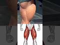 Transform Your Legs in 15 Days #shorts #youtubeshorts #ytshorts #viral