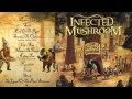 Infected mushroom  end of the road