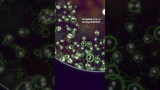 This dish is getting too crowded #simulation #science #spore #artificiallife #proceduralgeneration