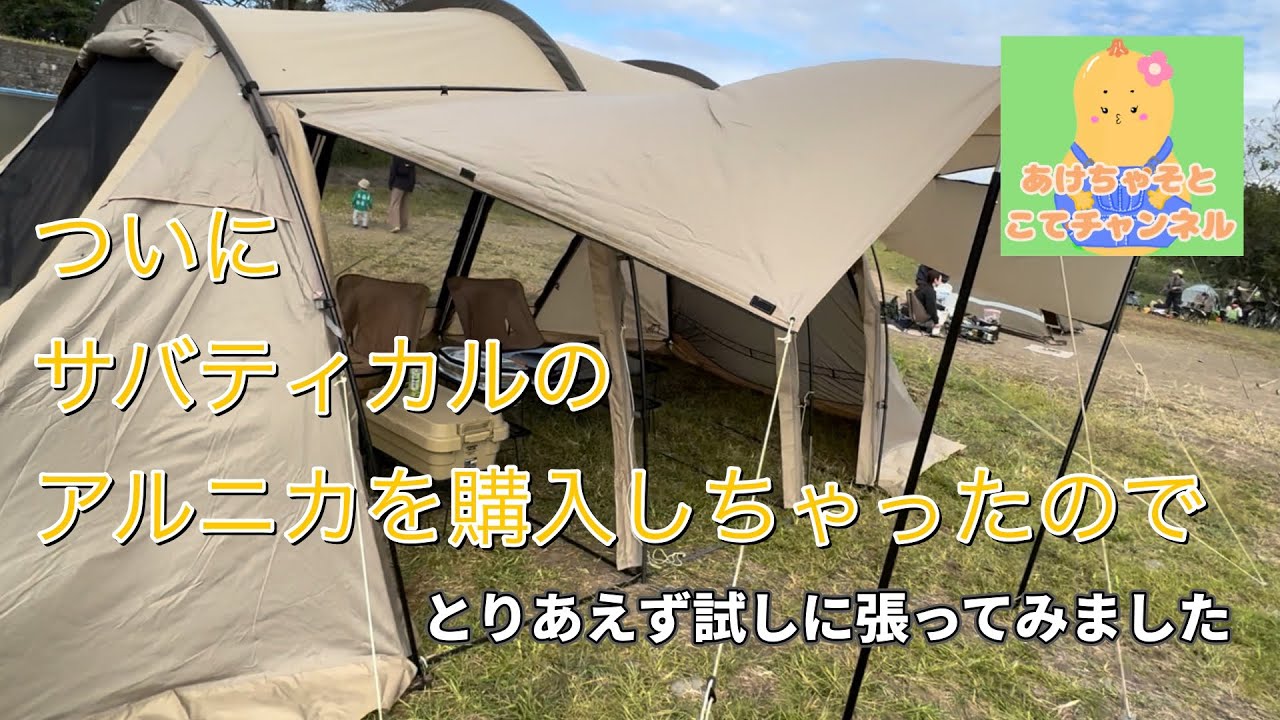 アルニカ購入】サバティカルのアルニカを購入したので張ってみました 