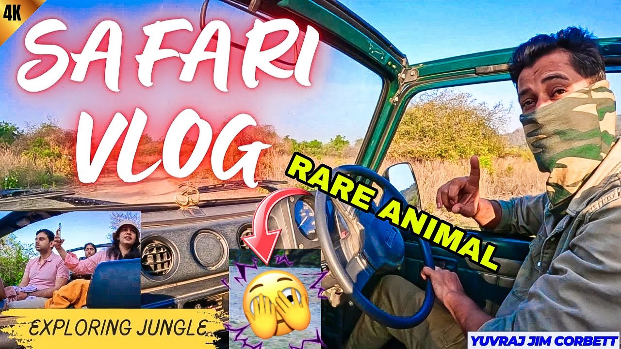 JUNGLE SAFARI MEIN AAJ DIKHA RARE ANIMAL 😮 