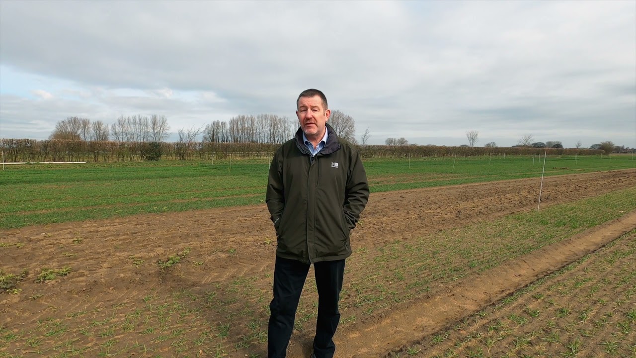 Hybrid Barley Trials 2021