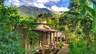 Download Lagu KAMPUNG BARU DESA PANDAT di Lereng gunung pulosari keindahan Nya Bagai Lukisan  MP3