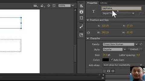 Animate cc ActionScript 3 Variable part 4 Displaying User input