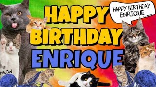 Happy Birthday Enrique Crazy Cats Say Happy Birthday Enrique Very Funny