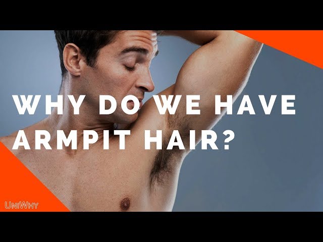 45 HQ Images Why Do I Have So Much Armpit Hair - The New ...