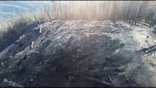 Carbon Shift: Drones planting seeds from the sky