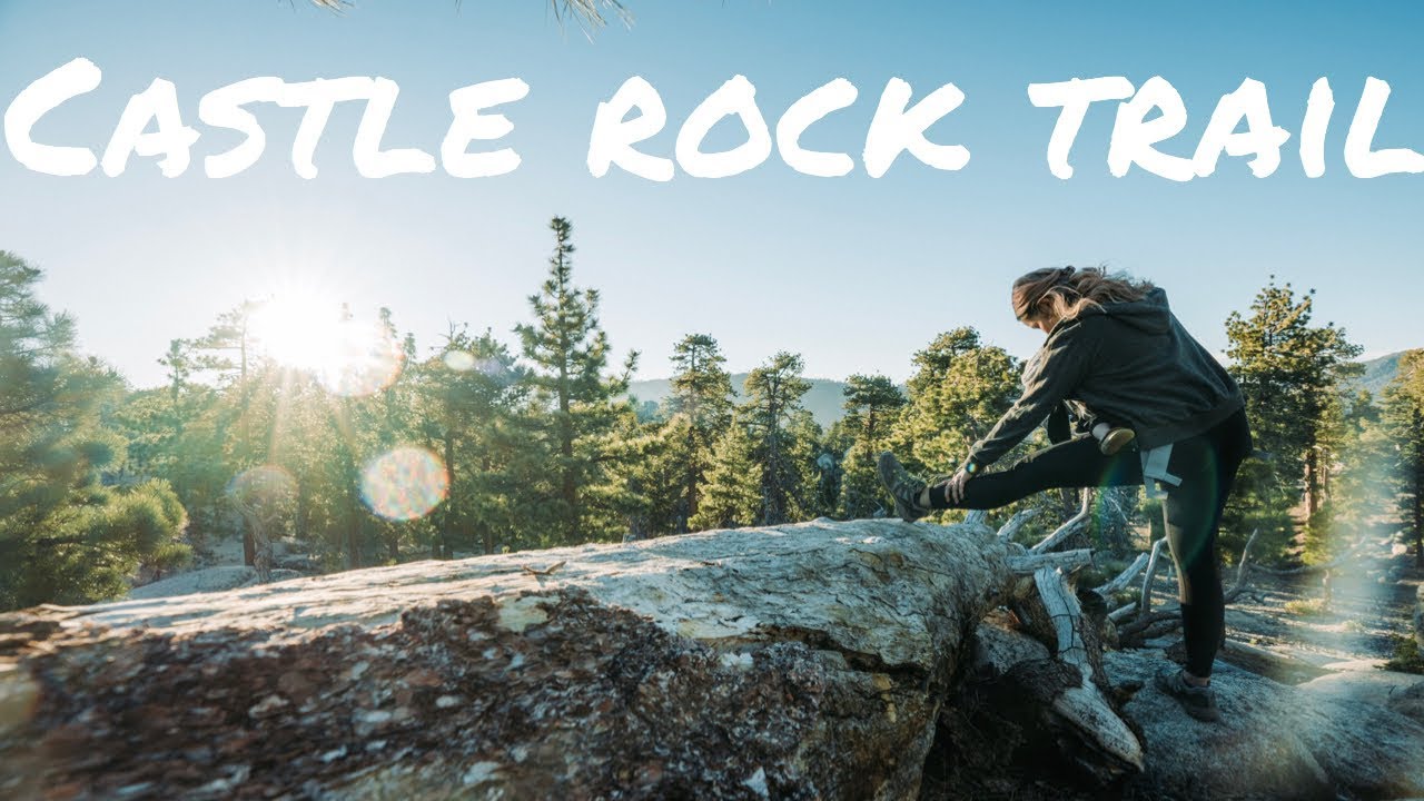 Worlds Largest Lodgepole Pine Tree Castle Rock Trail Big Bear 52