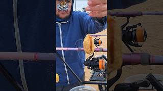 Carp Fishing Bait Presentation Tips to Catch More Big Fish! #shorts #carpfishing #baitpresentation