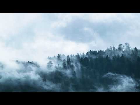 Into The Fray · The Grey Soundtrack | (Rain edition) Extended version slowed