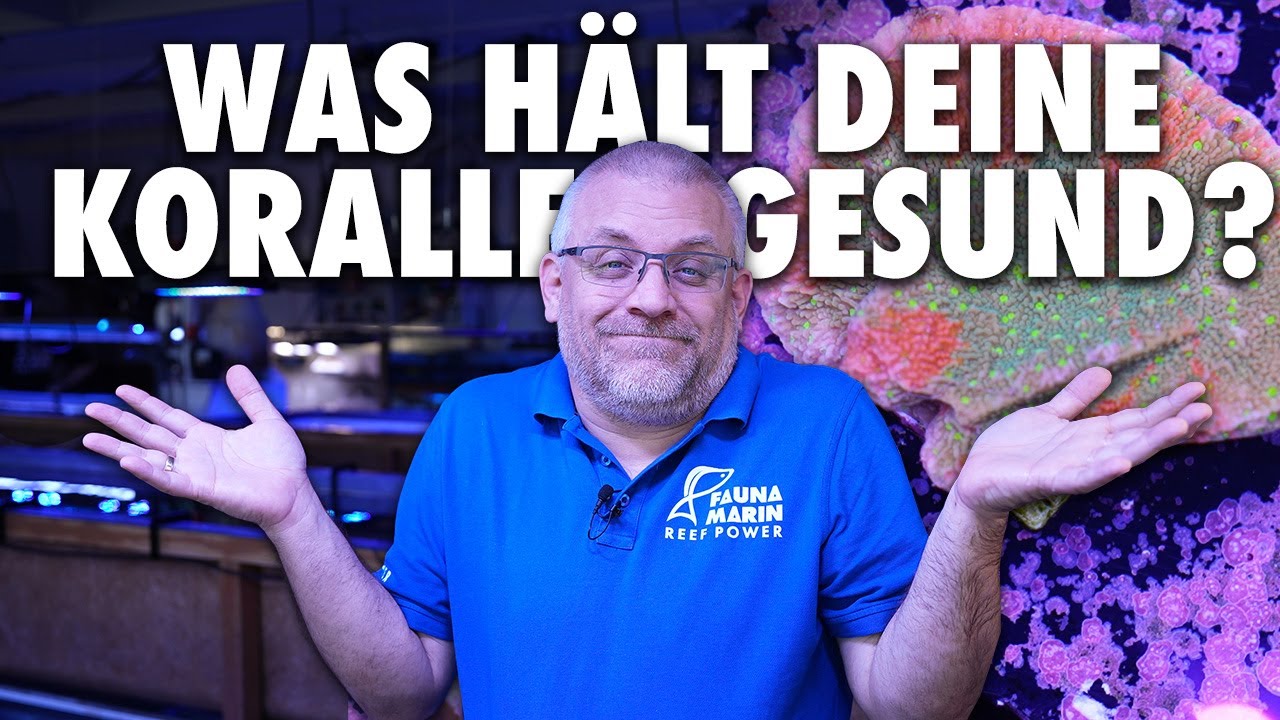 DADURCH hältst DU deine Tiere gesund!