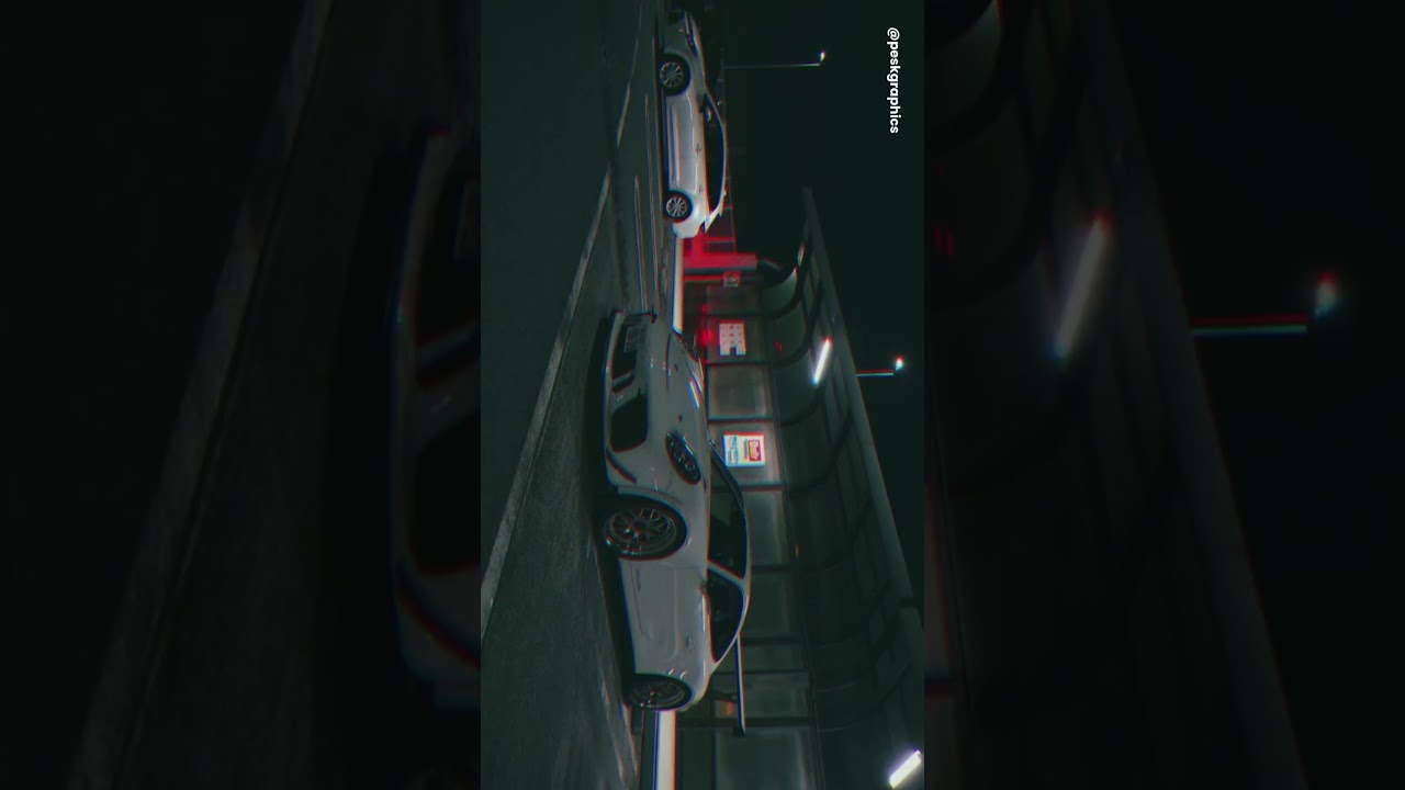 991.2 GT3 CUP EVO Edit