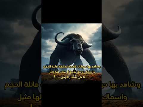 جنة عدن الموجودة في الأرض ﷺ اكسبلور معلومات  قصص واقعية غموض