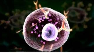 allergic reactions animation(tamil)