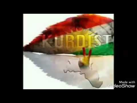 عماد كاكلو نعم استقلال كردستان