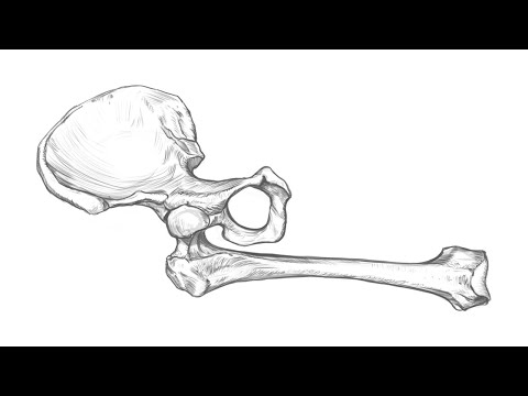 How to Learn How to Draw – Hip Bone Studio