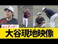 現地映像 大谷翔平侍ジャパン合流 投球練習公開 ドジャース WBC