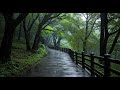 Perfect Heavy Rain Sounds for Sleep 🌧️ Unwind, Relax, and Soothe Your Mind