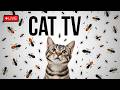 🔴12HOURS LIVE : Best Cat Games Videos 2025 – Endless Entertainment for Cats Ep124🐞 🐝🐞🦋