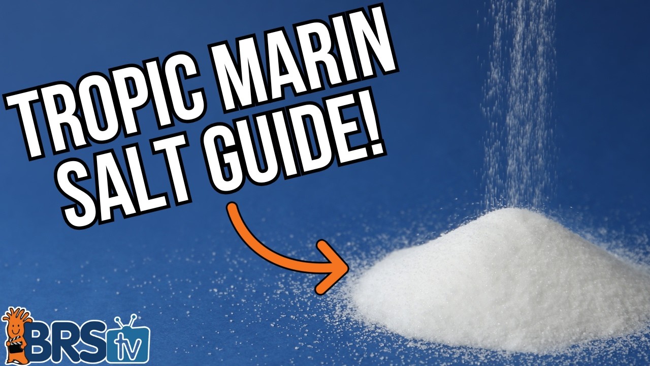 Какая соль Tropic Marin лучше?