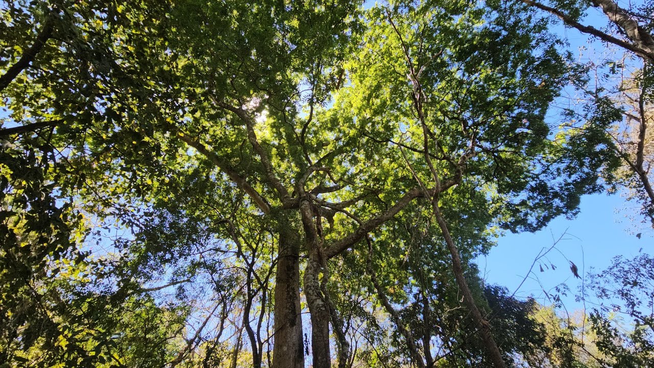  Se venden 2 mansanas en sitio el zapotal suchitoto departamento de cuscatlan.