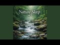 Calm Stream Flow Sleep Atmosphere