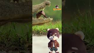 CROCODILE vs ALLIGATOR - which one is it? More videos on our Channel for Kids&Adults - Subscribe!