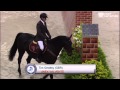 Tim gredley and unex valente soar to wihs puissance win
