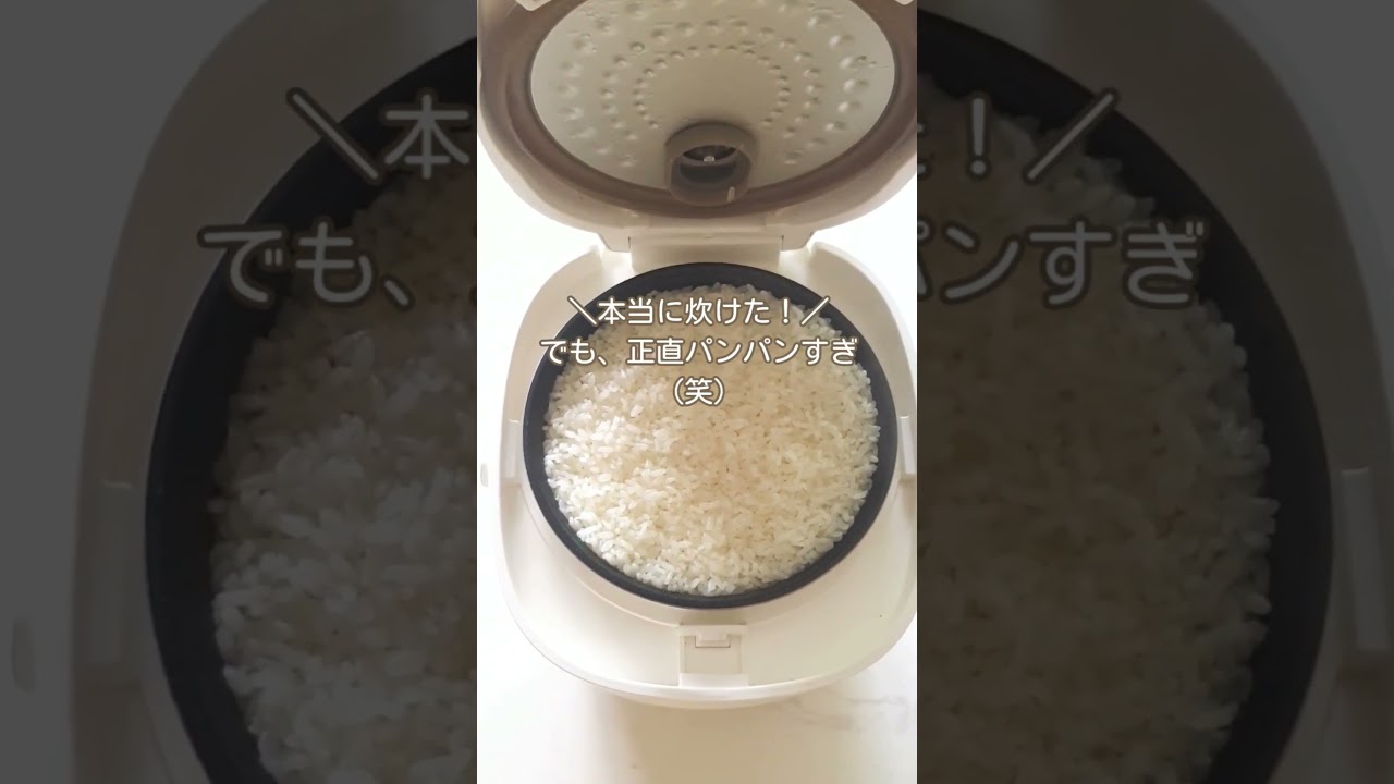 旧モデル ヘルスケア 炊飯器 ていとうシェフ – サカリュエ公式ストア