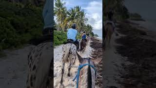 Jungle horse ride Punta Cana