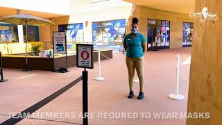 Welcome Back - What OdySea Aquarium is doing to provide you a safe environment.