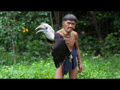 Survivre à Borneo - Documentaire Complet en Français [Borneo Death Blow]